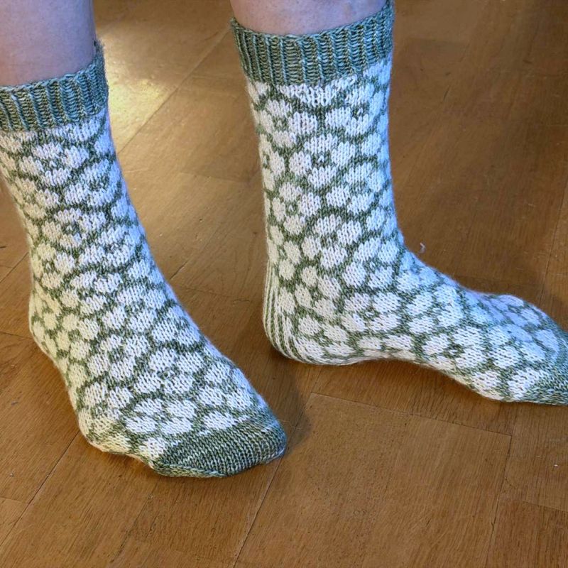 Bloom Socks