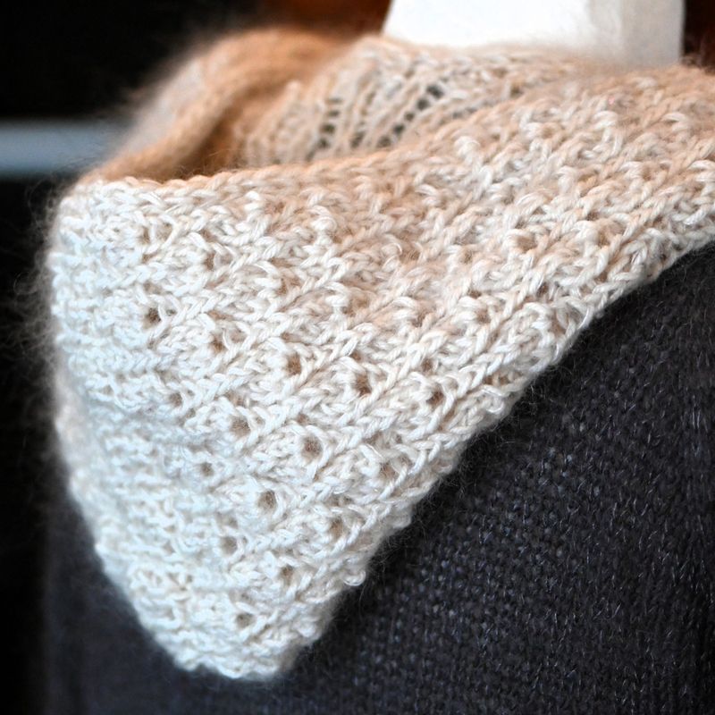 Polarlys Hood